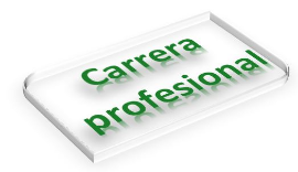 Carrera profesional